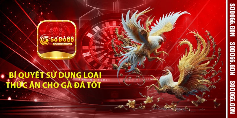 Bí quyết sử dụng top các loại thức ăn cho gà đá tốt nhất