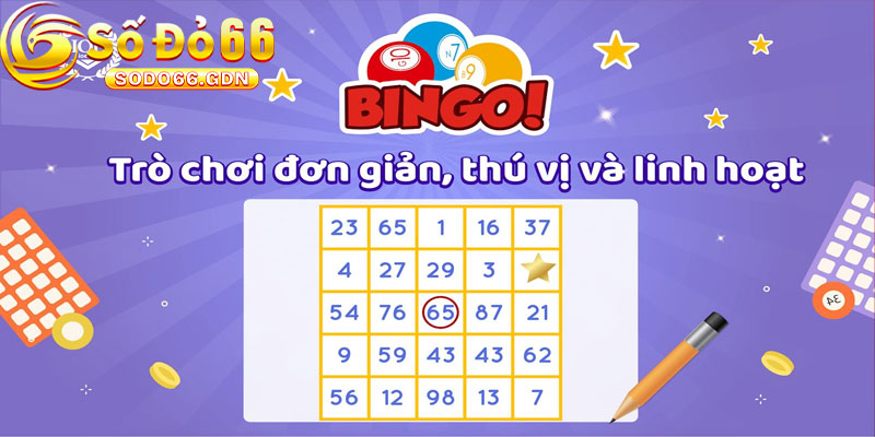 Bingo Sodo66 Là Gì?