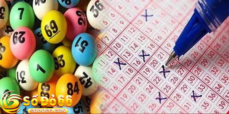 Các Hình Thức Đặt Cược Lô 2 Số Tại Sodo66