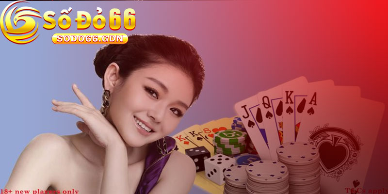 Giới Thiệu Các Chương Trình Ưu Đãi và Khuyến Mãi Hấp Dẫn