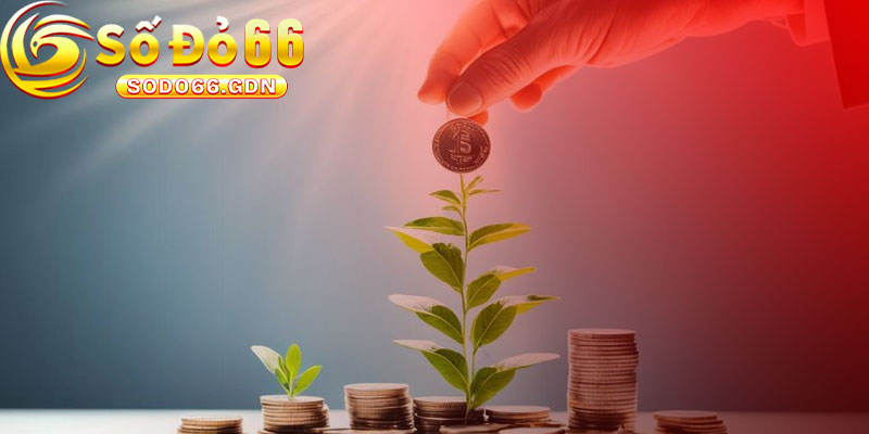 Cung Cấp Các Chính Sách Hợp Lý