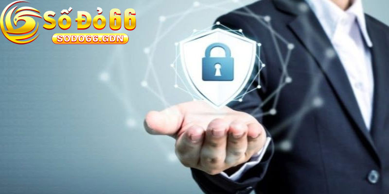 Giới thiệu về chính sách Sodo66