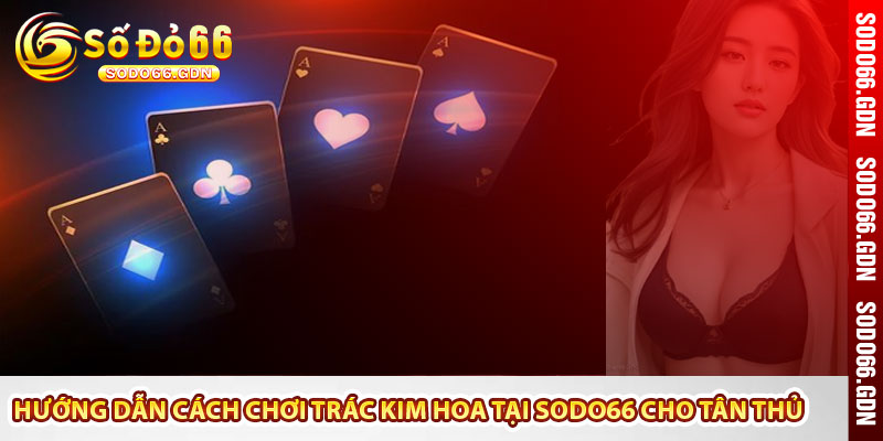 Hướng dẫn cách chơi Trác Kim Hoa tại Sodo66 cho tân thủ