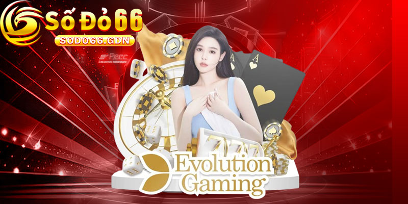 Quyền và Trách Nhiệm Của Người Chơi